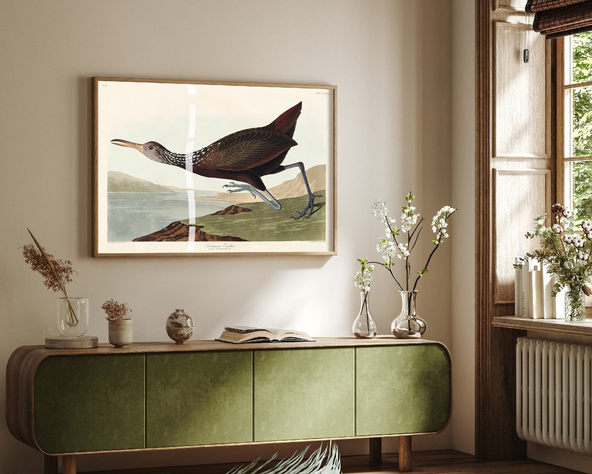 King Rail Art Print - John James Audubon Birds of America Poster - Vintage Limpkin Ornithology Illustration