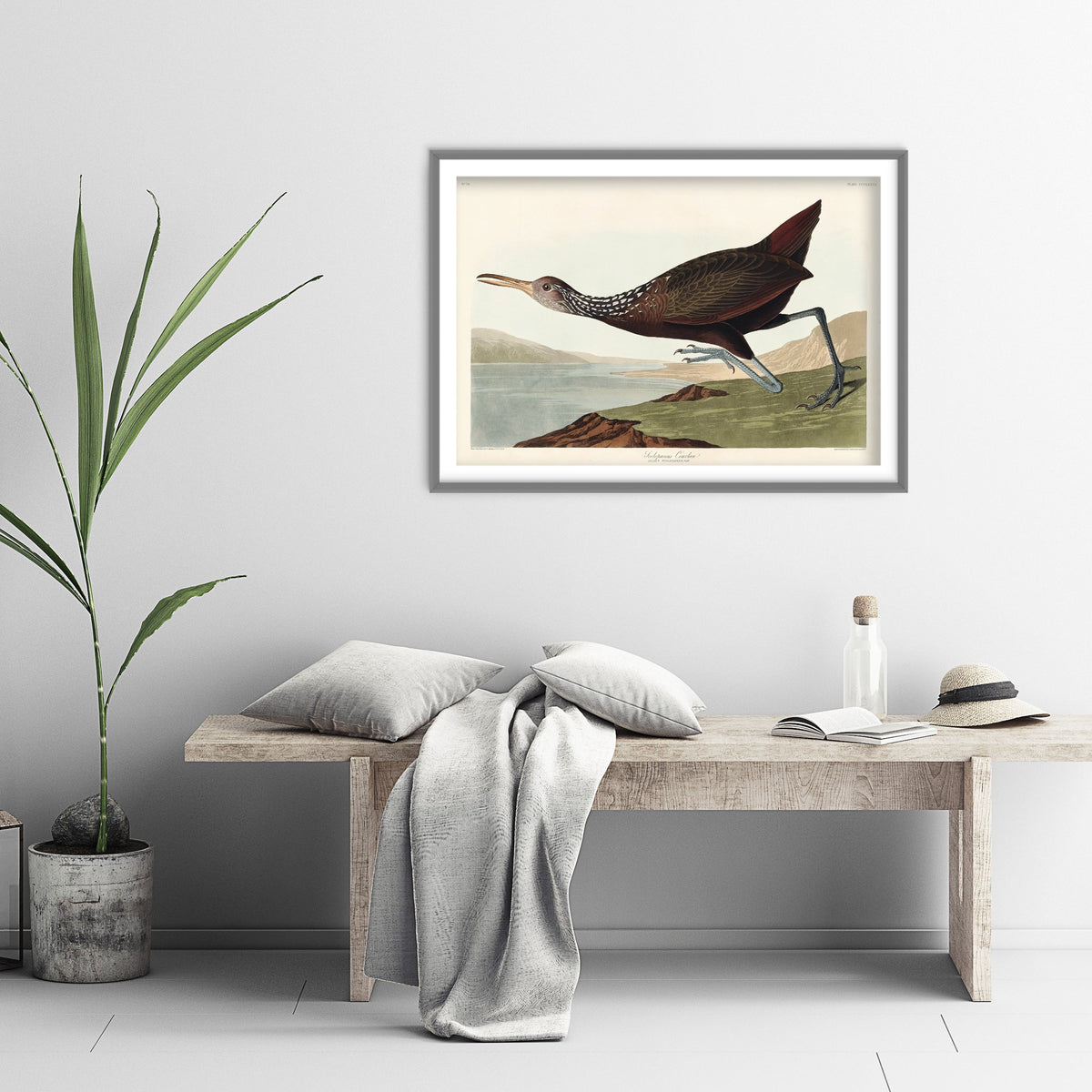 King Rail Art Print - John James Audubon Birds of America Poster - Vintage Limpkin Ornithology Illustration