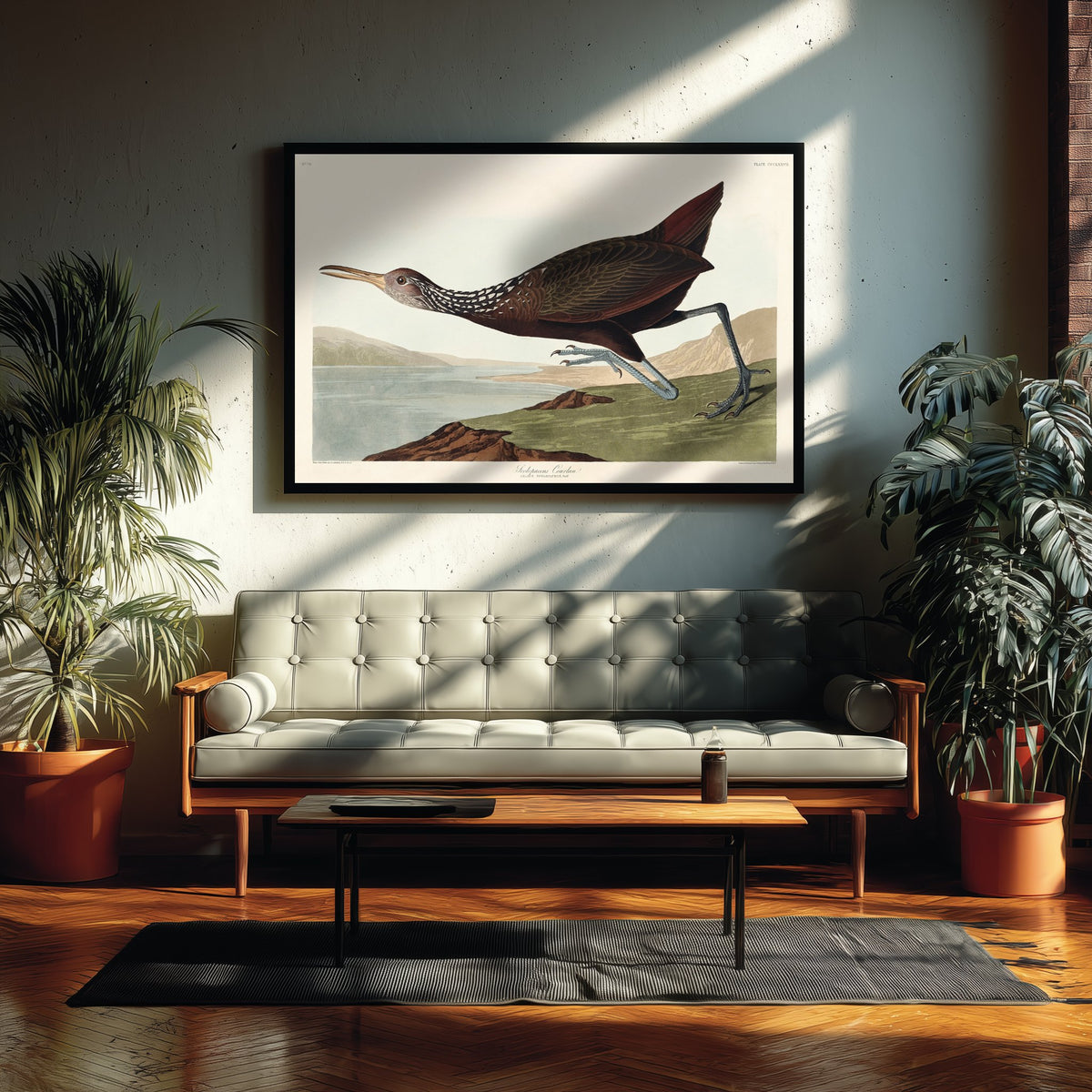 King Rail Art Print - John James Audubon Birds of America Poster - Vintage Limpkin Ornithology Illustration