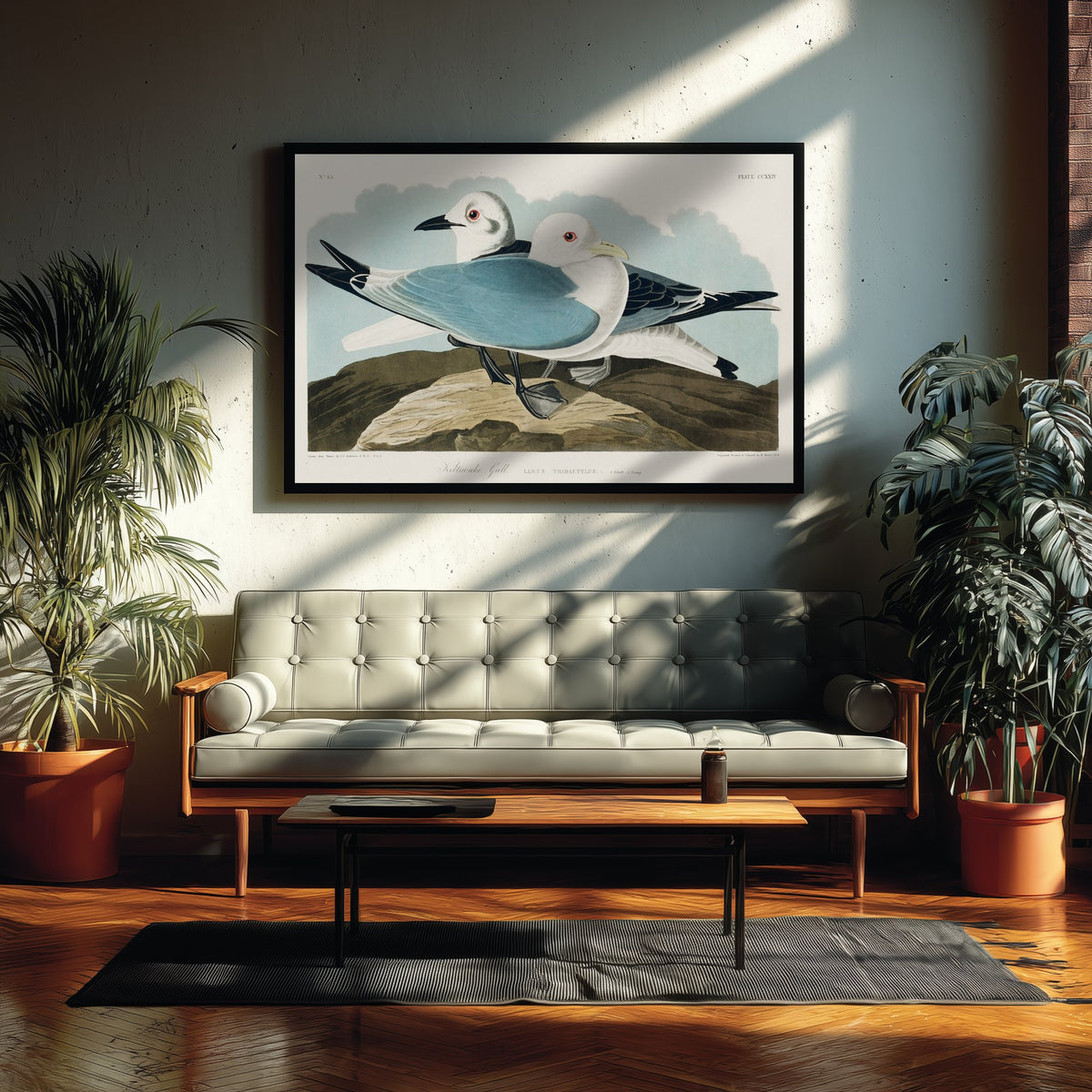 Black-legged Kittiwake Art Print - John James Audubon Birds of America Poster - Vintage Kittiwake Gull Illustration