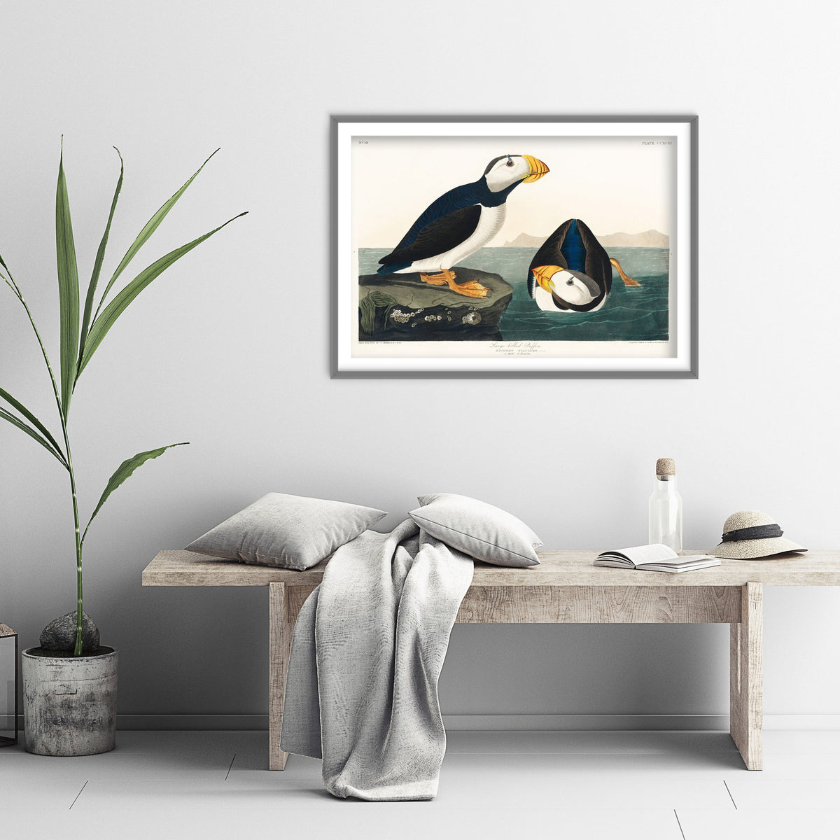 Large-billed Puffin - John James Audubon Birds of America - Vintage Ornithology Art Print Poster Illustration
