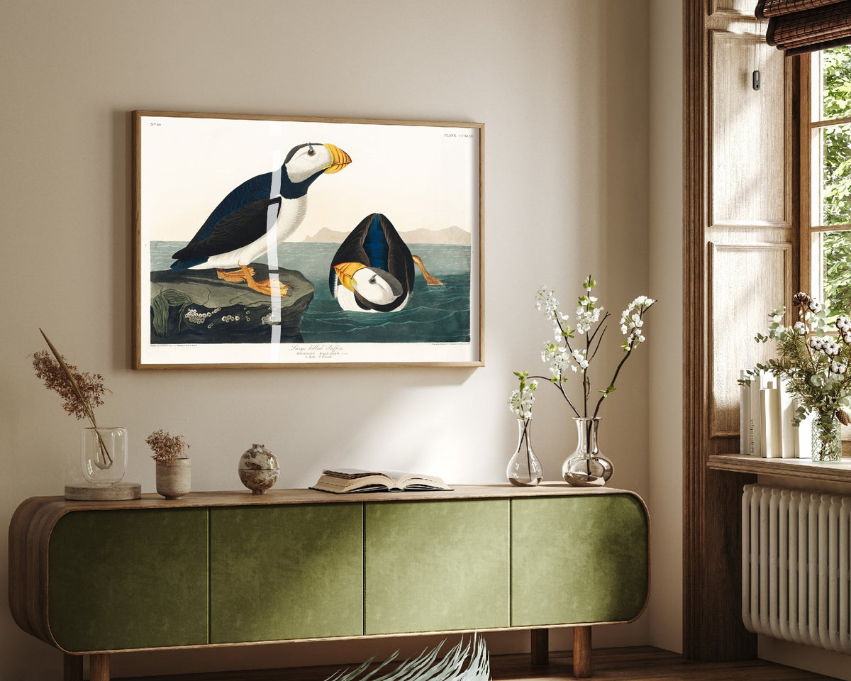 Large-billed Puffin - John James Audubon Birds of America - Vintage Ornithology Art Print Poster Illustration
