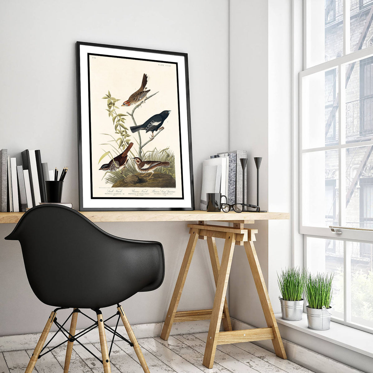 Lark Sparrow - John James Audubon Birds of America - Vintage Ornithology Art Print Poster Illustration