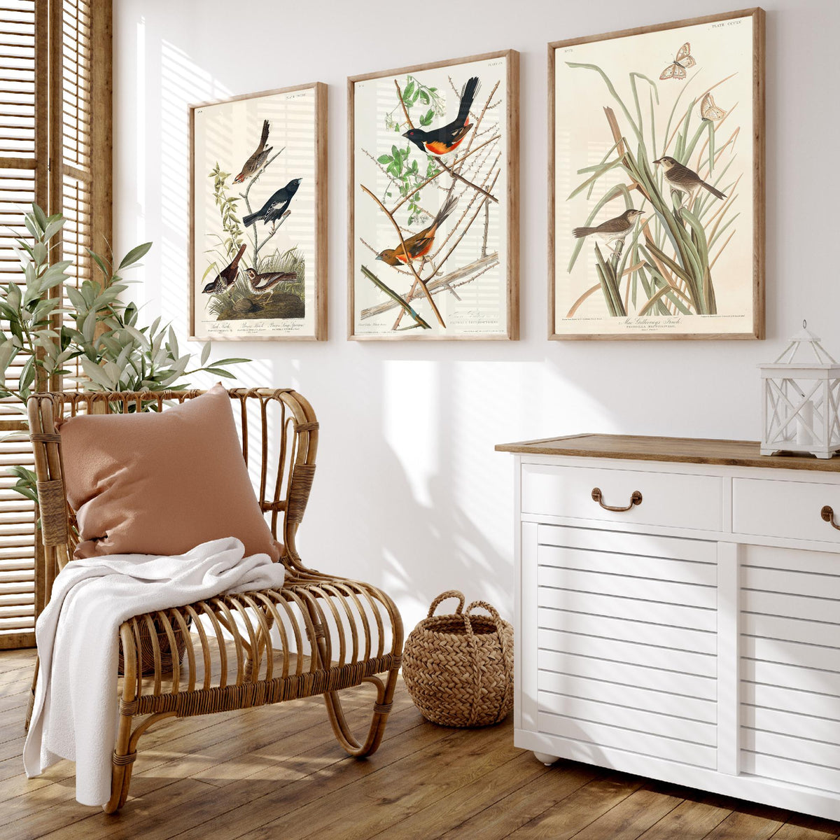 Set of Three John James Audubon Prints - Lark Finch Towhee Bunting and MacGillivrays Finch - 3 Bird Paintings Poster Wall Art Gift