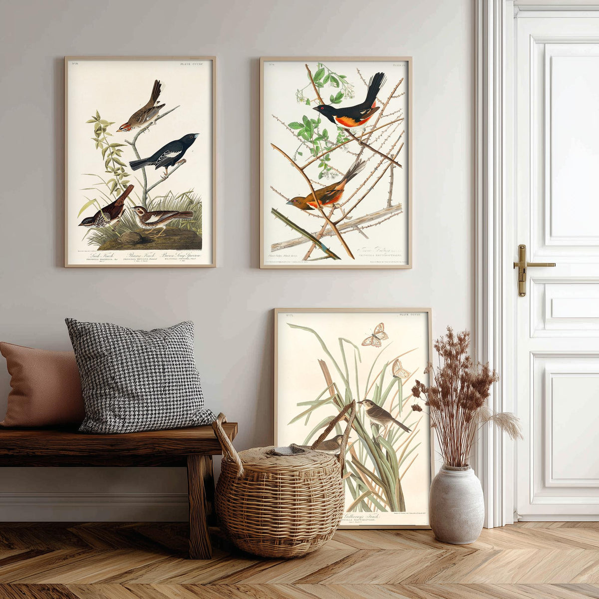 Set of Three John James Audubon Prints - Lark Finch Towhee Bunting and MacGillivrays Finch - 3 Bird Paintings Poster Wall Art Gift