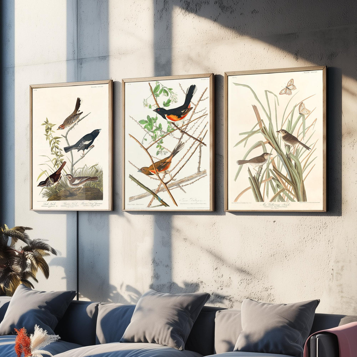 Set of Three John James Audubon Prints - Lark Finch Towhee Bunting and MacGillivrays Finch - 3 Bird Paintings Poster Wall Art Gift
