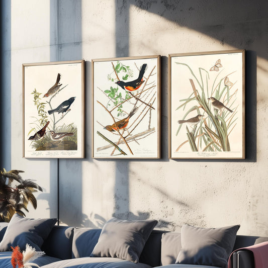Set of Three John James Audubon Prints - Lark Finch Towhee Bunting and MacGillivrays Finch - 3 Bird Paintings Poster Wall Art Gift