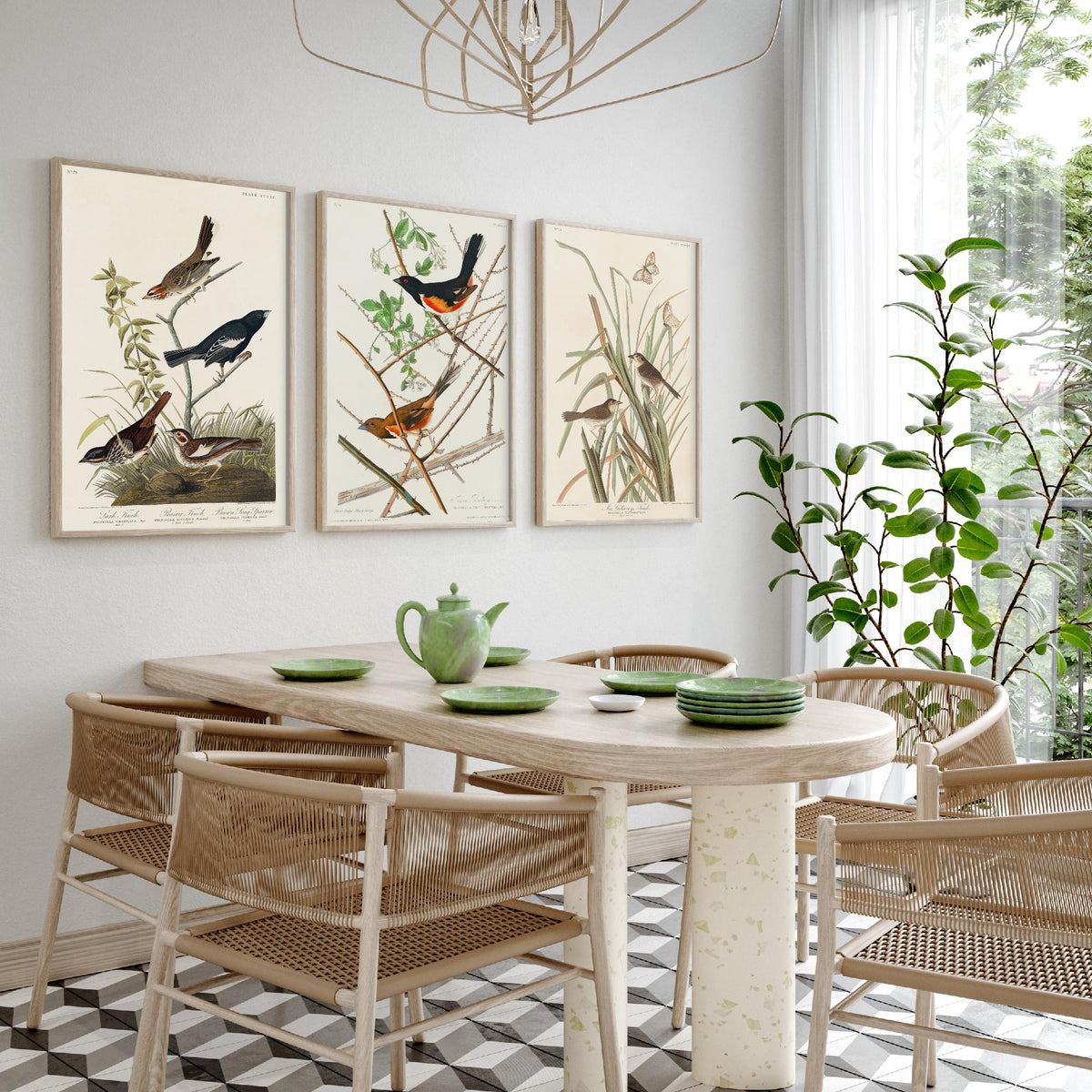 Set of Three John James Audubon Prints - Lark Finch Towhee Bunting and MacGillivrays Finch - 3 Bird Paintings Poster Wall Art Gift