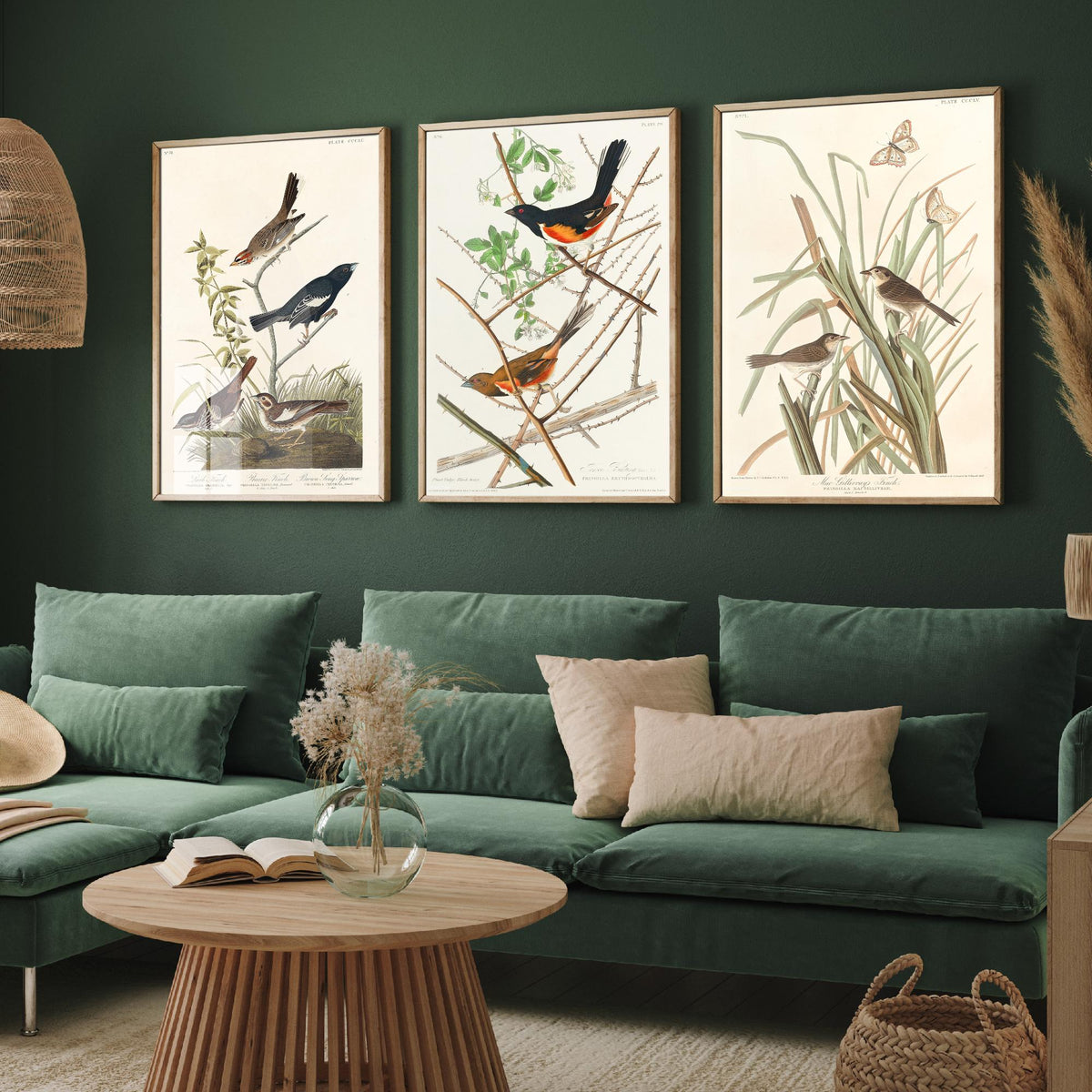 Set of Three John James Audubon Prints - Lark Finch Towhee Bunting and MacGillivrays Finch - 3 Bird Paintings Poster Wall Art Gift