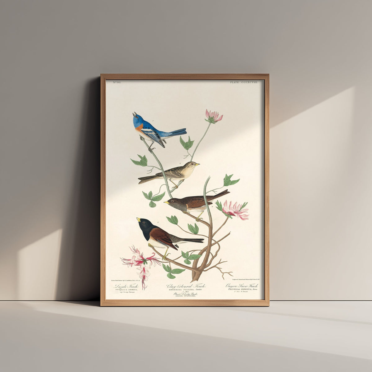 Lazuli Bunting - John James Audubon Birds of America - Vintage Ornithology Art Print Poster Illustration