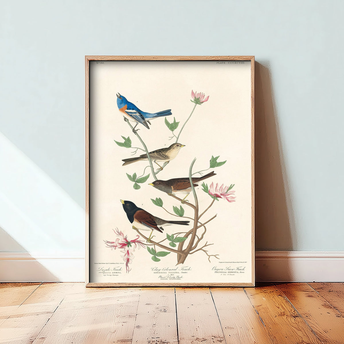Lazuli Bunting - John James Audubon Birds of America - Vintage Ornithology Art Print Poster Illustration