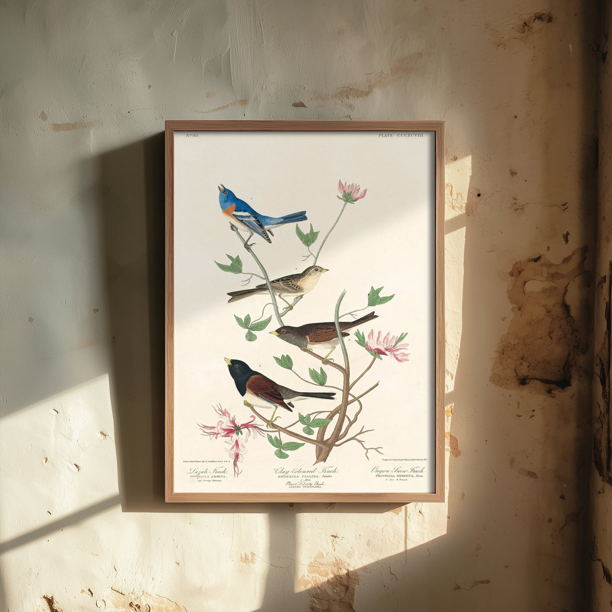 Lazuli Bunting - John James Audubon Birds of America - Vintage Ornithology Art Print Poster Illustration