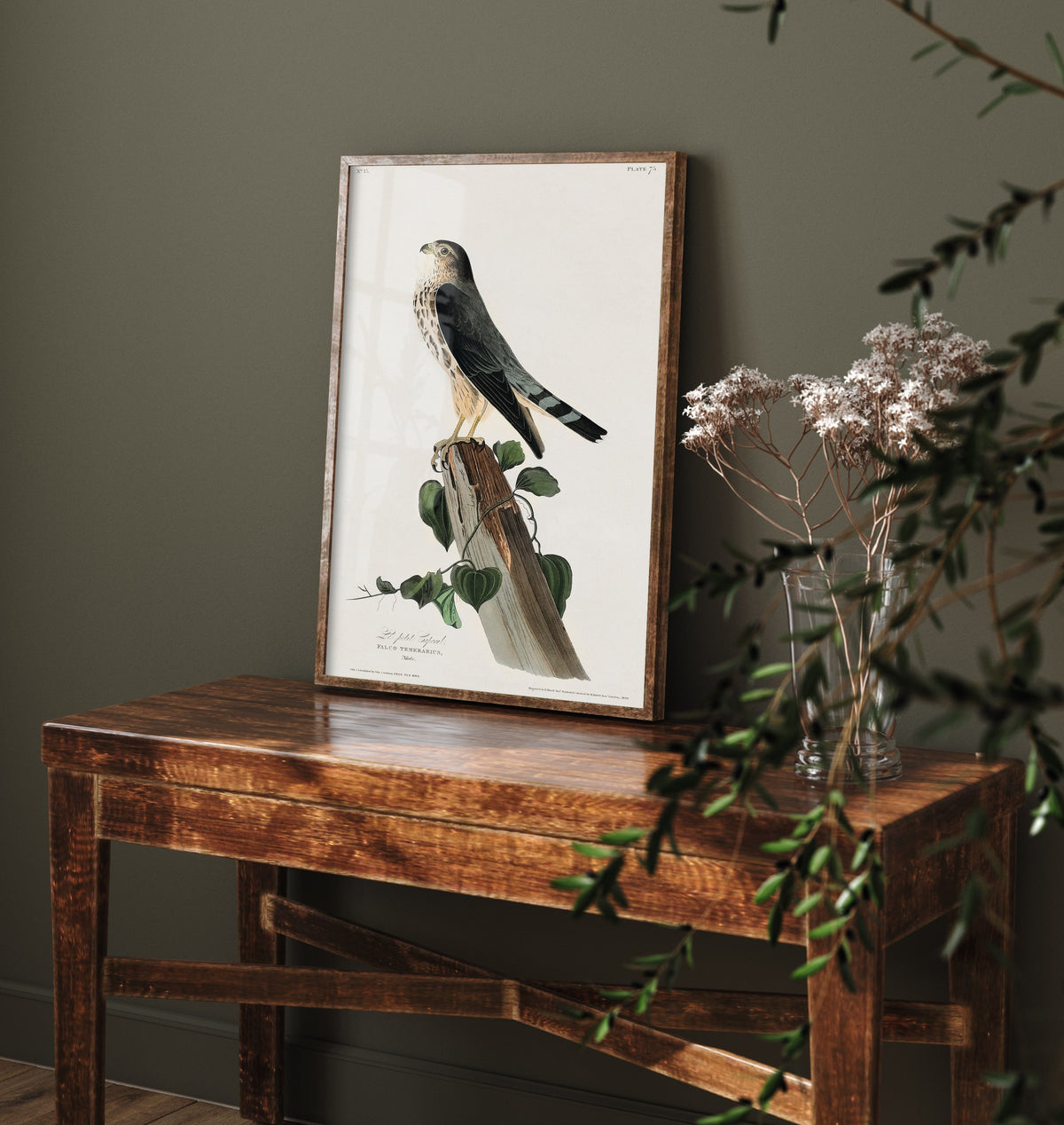 Merlin - John James Audubon Birds of America - Vintage Ornithology Art Print Poster Illustration