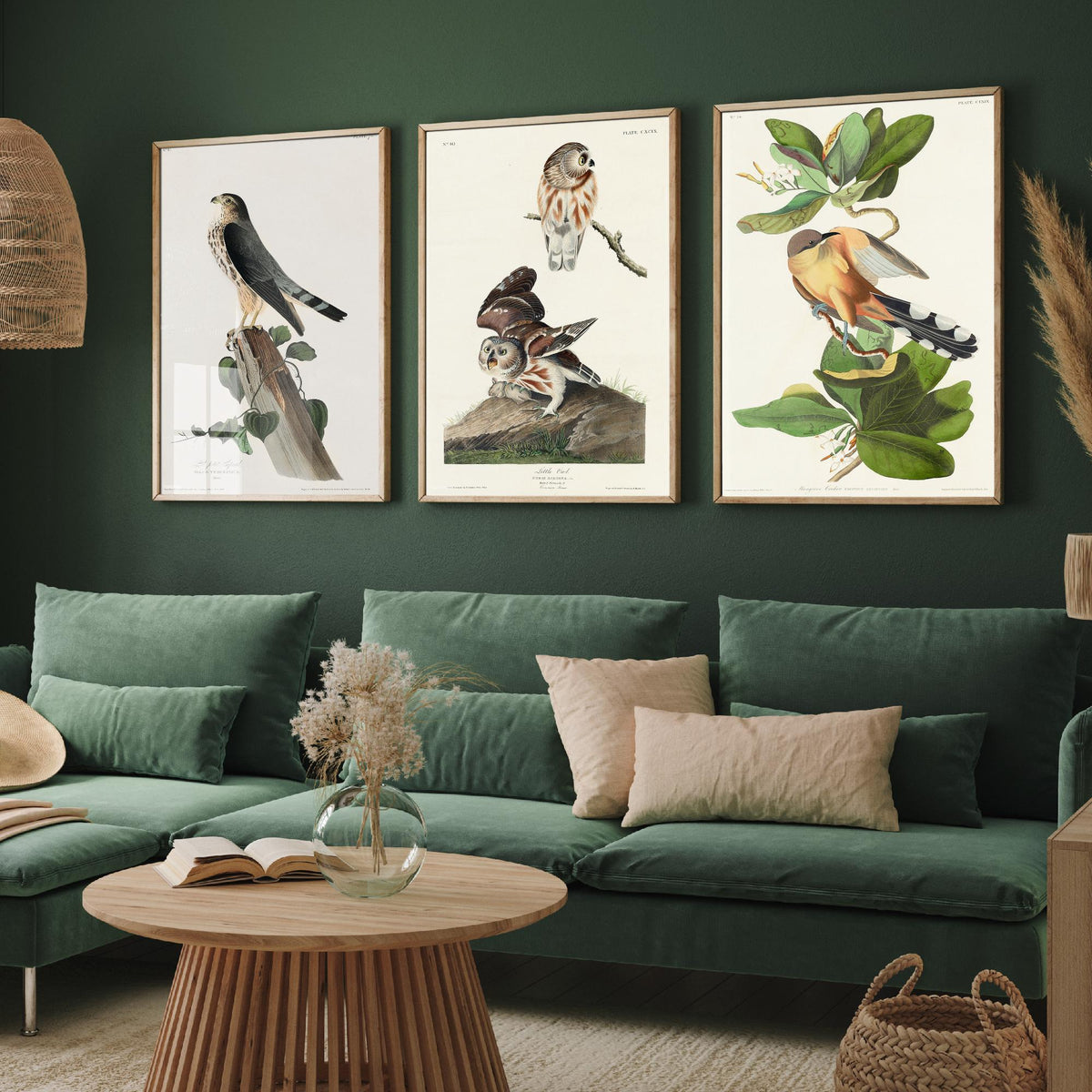 Set of Three John James Audubon Prints - Le Petit Caporal Little Owl and Mangrove Cuckoo - 3 Bird Paintings Poster Wall Art Gift