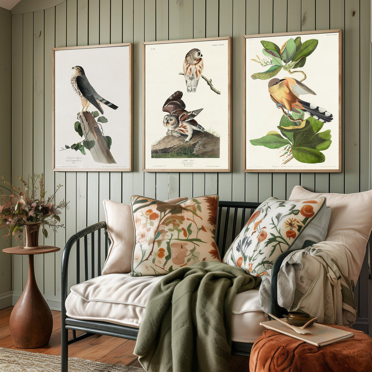 Set of Three John James Audubon Prints - Le Petit Caporal Little Owl and Mangrove Cuckoo - 3 Bird Paintings Poster Wall Art Gift