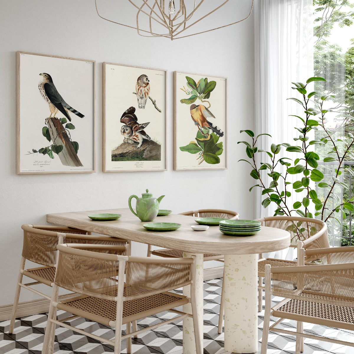 Set of Three John James Audubon Prints - Le Petit Caporal Little Owl and Mangrove Cuckoo - 3 Bird Paintings Poster Wall Art Gift
