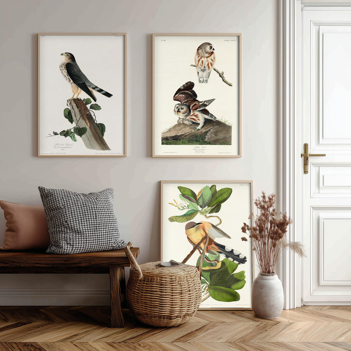 Set of Three John James Audubon Prints - Le Petit Caporal Little Owl and Mangrove Cuckoo - 3 Bird Paintings Poster Wall Art Gift