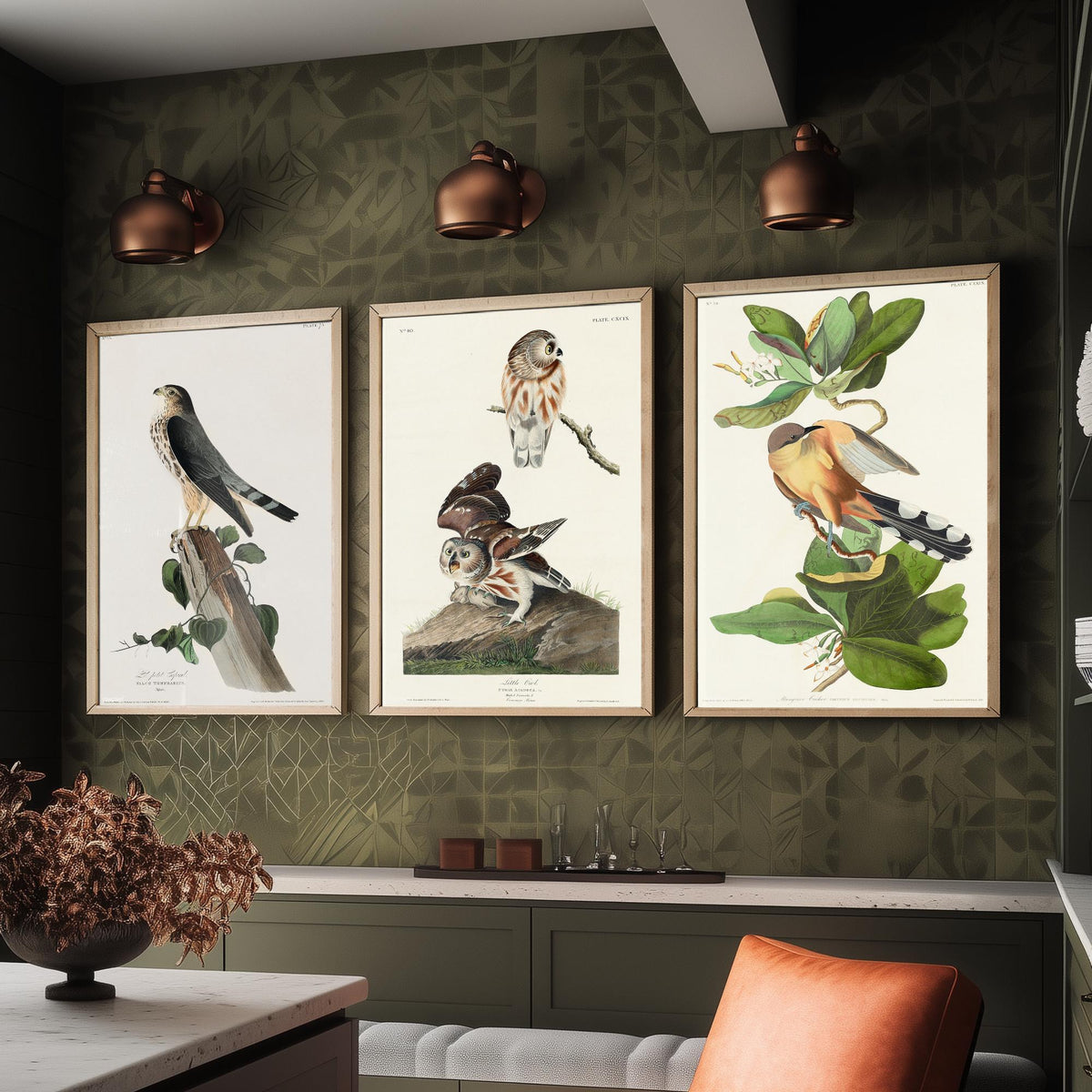 Set of Three John James Audubon Prints - Le Petit Caporal Little Owl and Mangrove Cuckoo - 3 Bird Paintings Poster Wall Art Gift