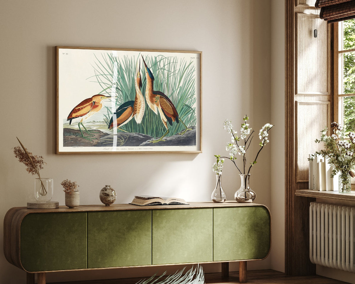 Least Bittern - John James Audubon Birds of America - Vintage Ornithology Art Print Poster Illustration