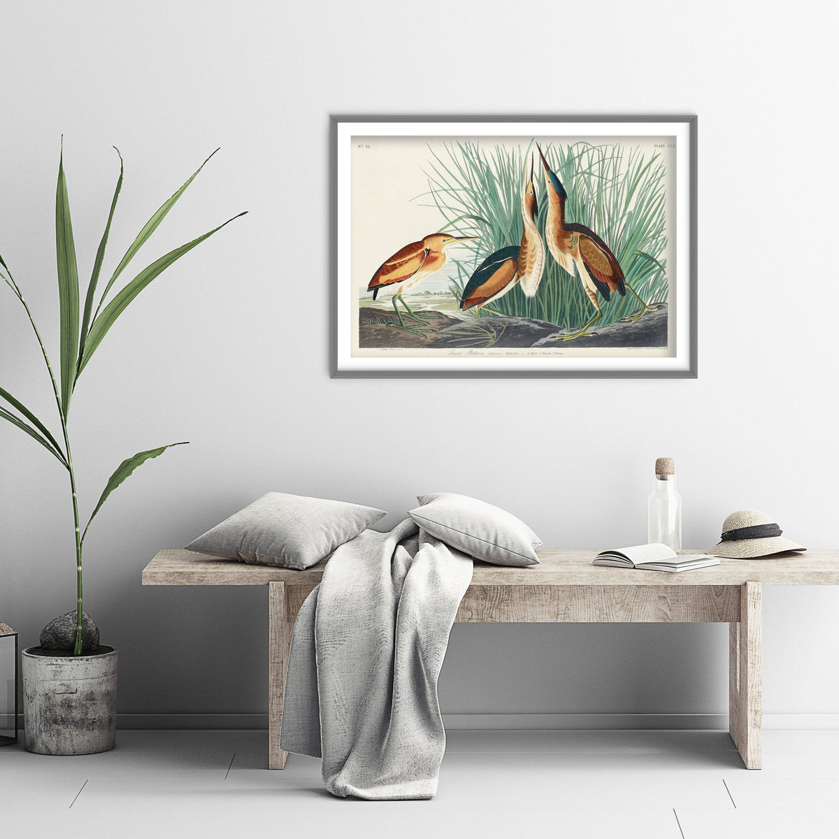 Least Bittern - John James Audubon Birds of America - Vintage Ornithology Art Print Poster Illustration