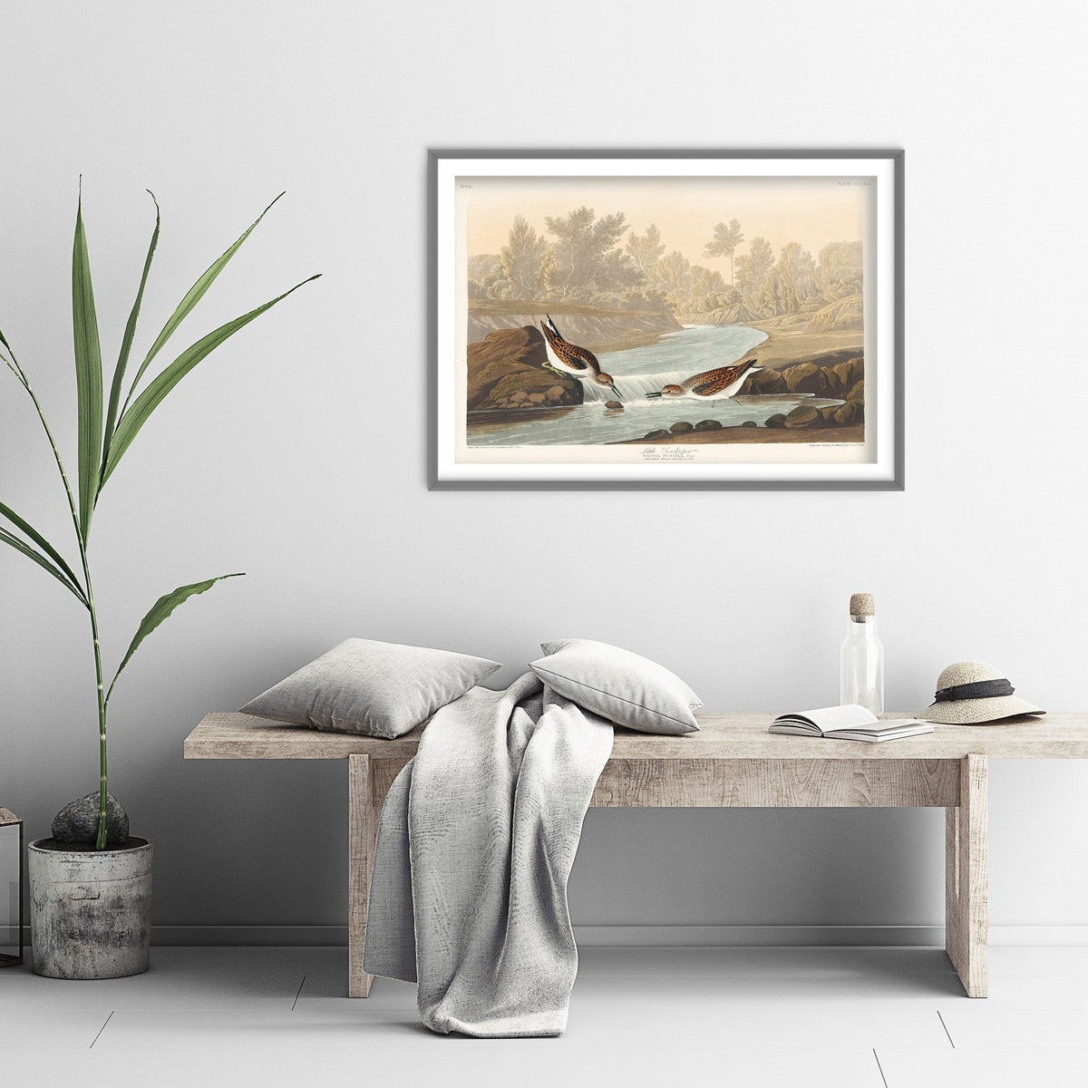 Least Sandpiper - John James Audubon Birds of America - Vintage Ornithology Art Print Poster Illustration