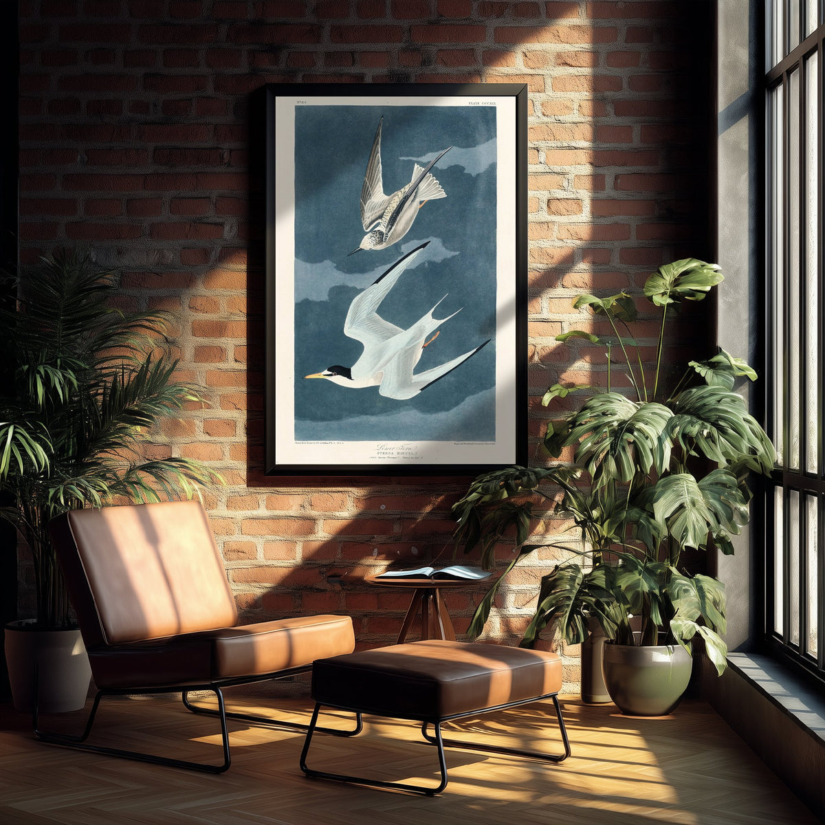 Least Tern - John James Audubon Birds of America - Vintage Ornithology Art Print Poster Illustration