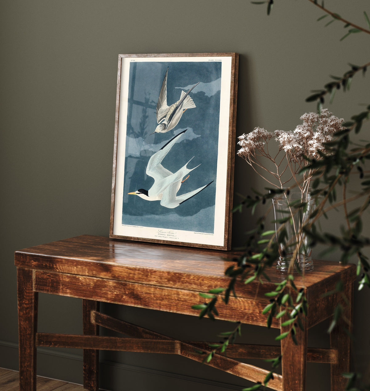 Least Tern - John James Audubon Birds of America - Vintage Ornithology Art Print Poster Illustration