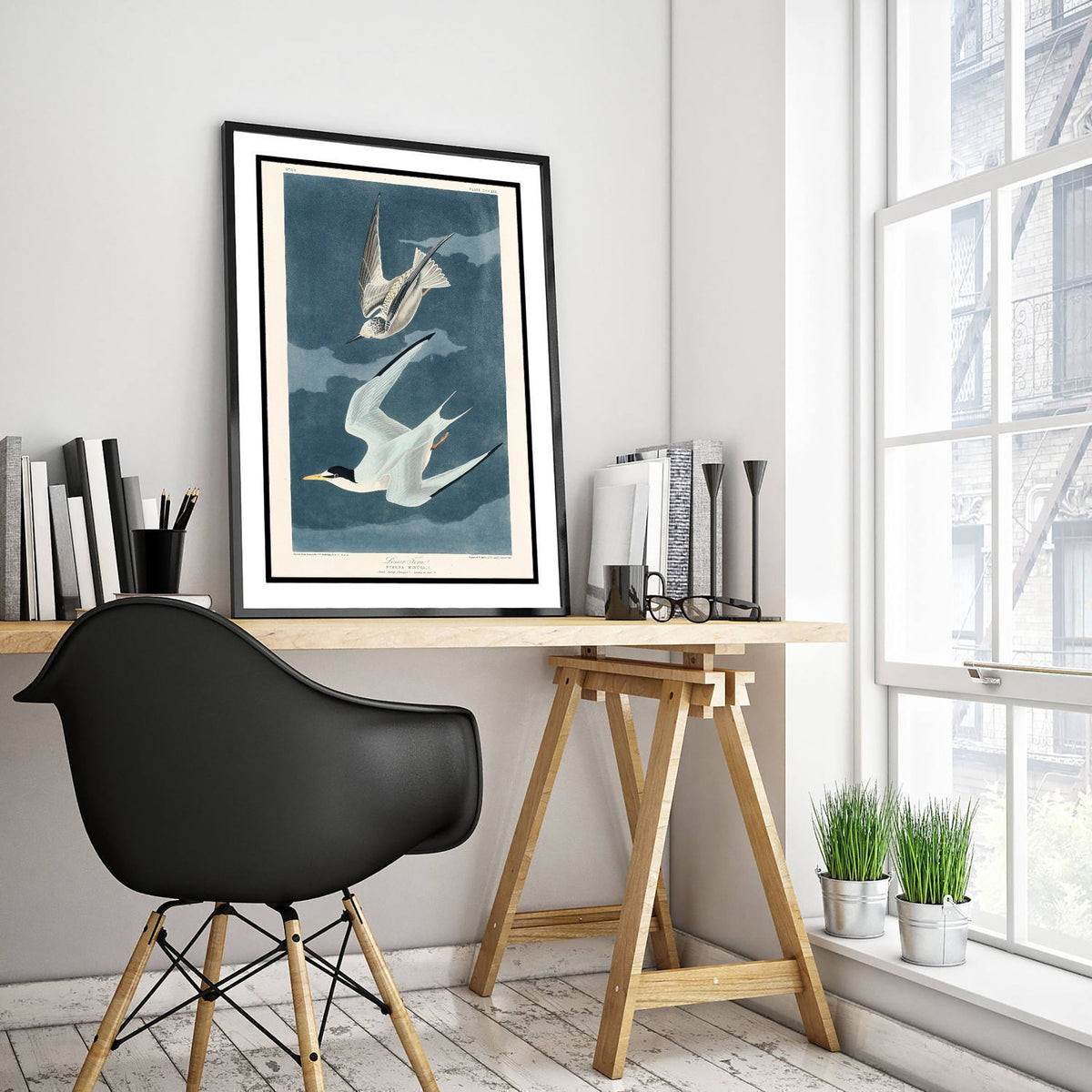 Least Tern - John James Audubon Birds of America - Vintage Ornithology Art Print Poster Illustration