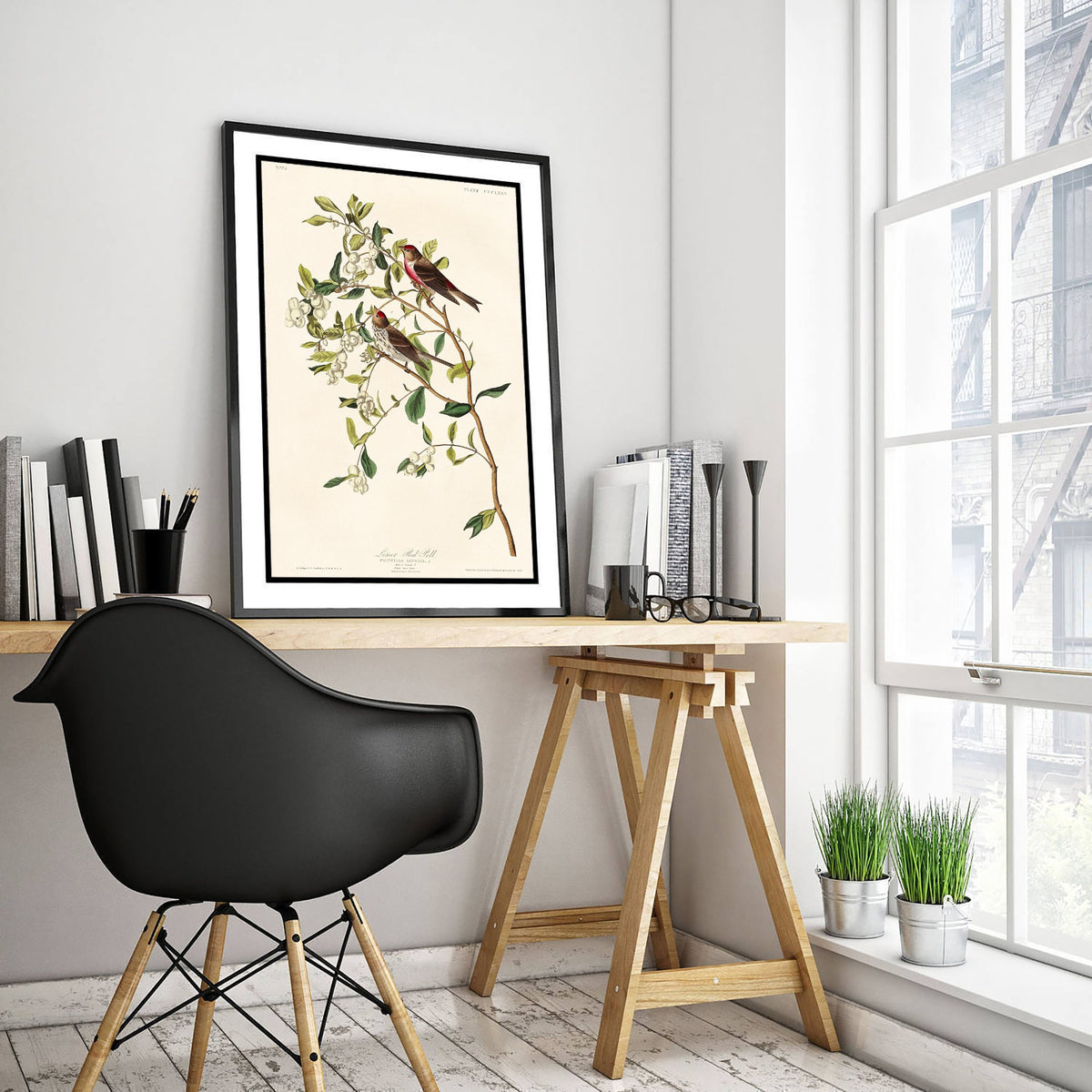 Lesser Redpoll - John James Audubon Birds of America - Vintage Ornithology Art Print Poster Illustration