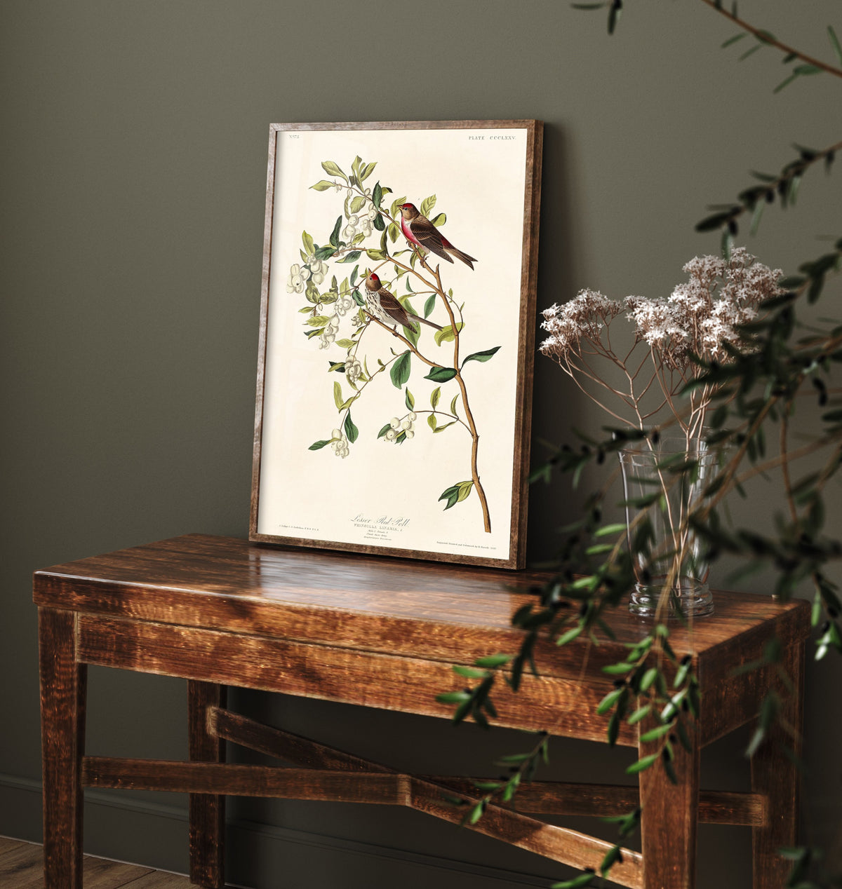 Lesser Redpoll - John James Audubon Birds of America - Vintage Ornithology Art Print Poster Illustration