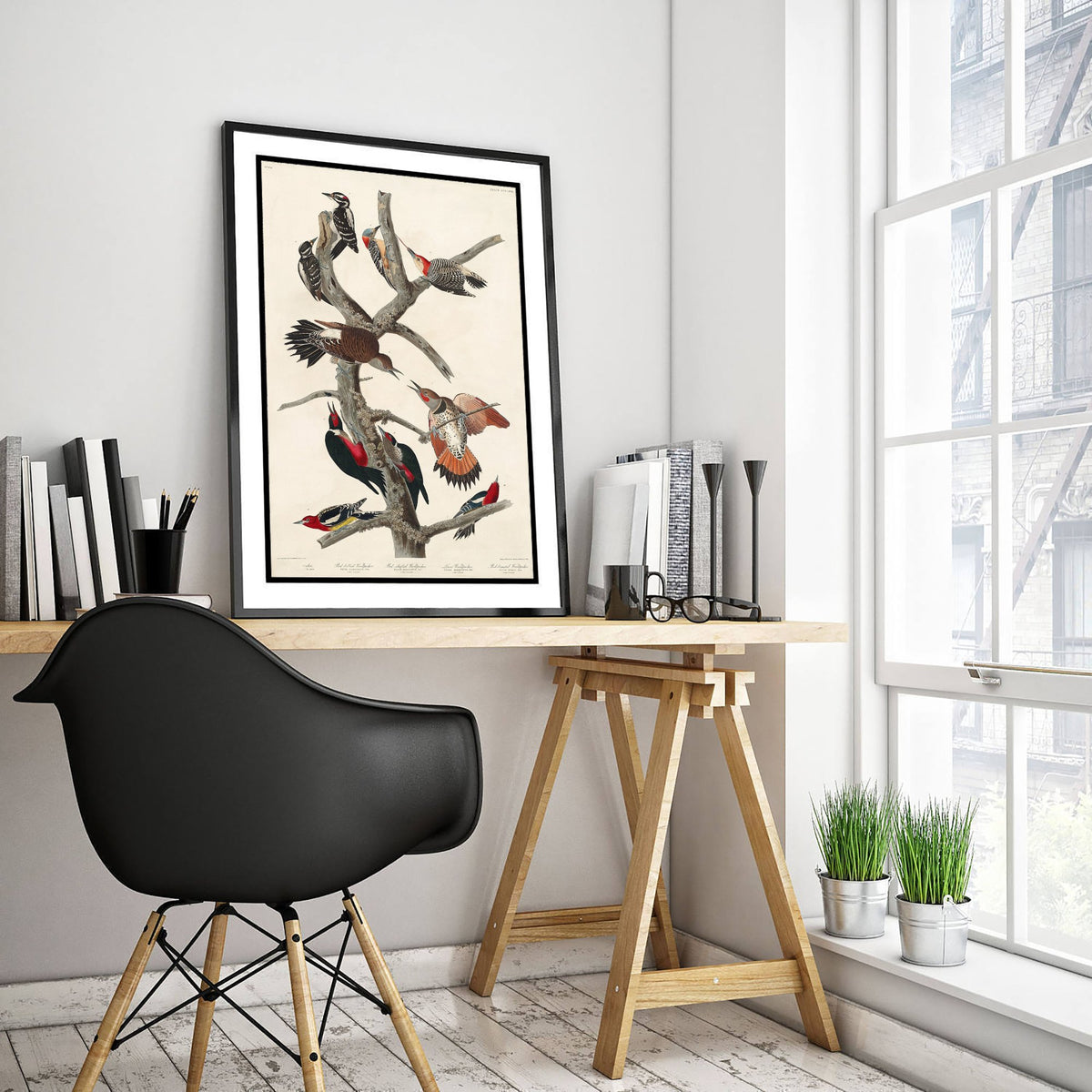 Lewis's Woodpecker Art Print - John James Audubon Birds of America - Vintage Ornithology Poster Illustration