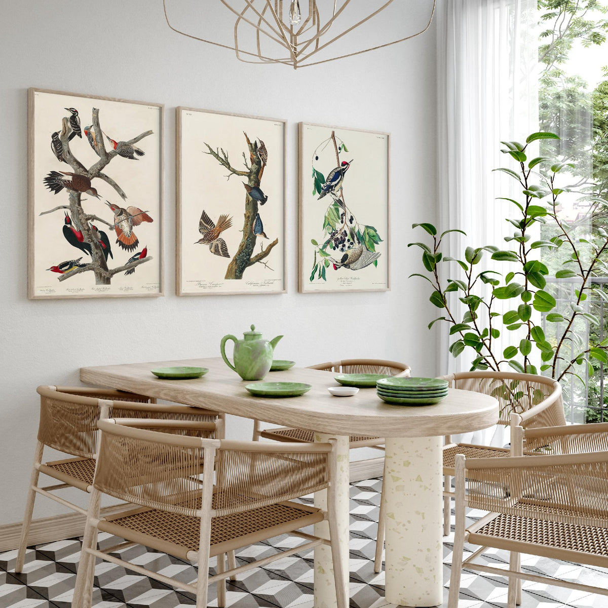 Set of Three John James Audubon Prints - Lewis Woodpecker Brown Creeper Yellow-bellied Woodpecker - 3 Bird Paintings Poster Wall Art
