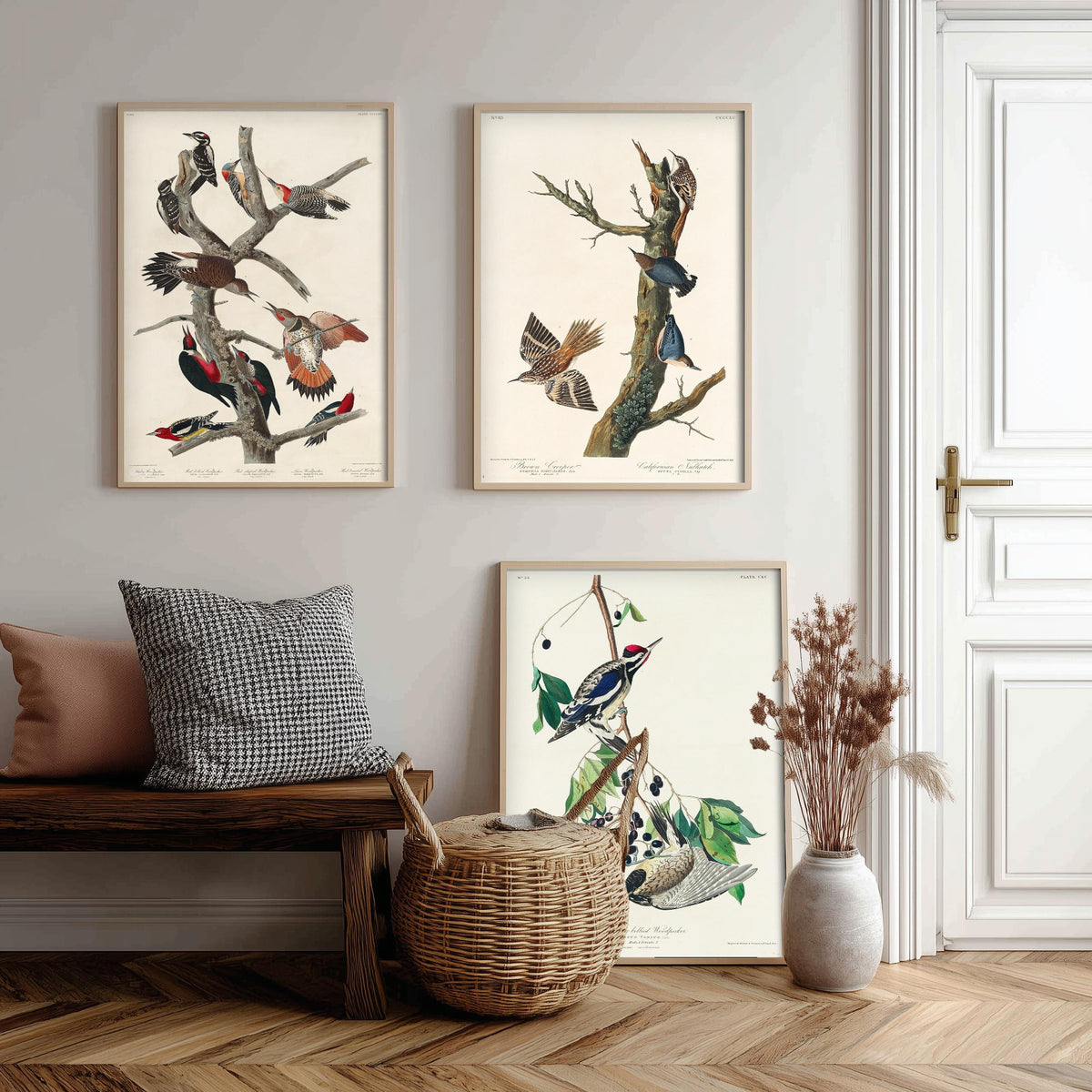 Set of Three John James Audubon Prints - Lewis Woodpecker Brown Creeper Yellow-bellied Woodpecker - 3 Bird Paintings Poster Wall Art