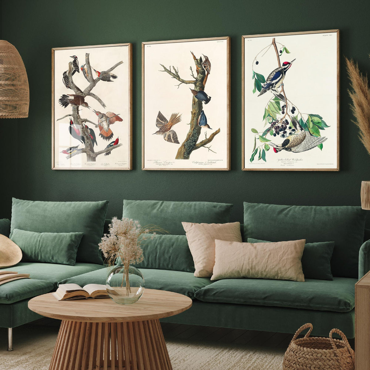 Set of Three John James Audubon Prints - Lewis Woodpecker Brown Creeper Yellow-bellied Woodpecker - 3 Bird Paintings Poster Wall Art