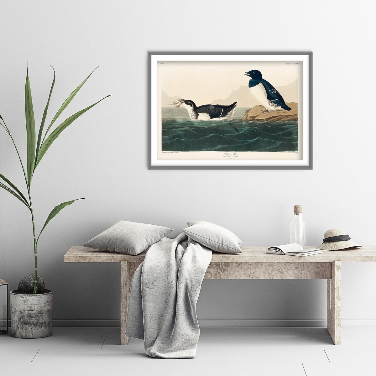Dovekie Little Auk Art Print - John James Audubon Birds of America - Vintage Bird Poster Illustration