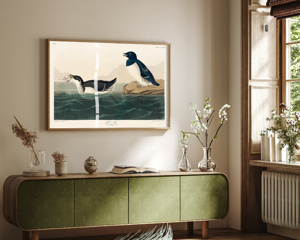 Dovekie Little Auk Art Print - John James Audubon Birds of America - Vintage Bird Poster Illustration