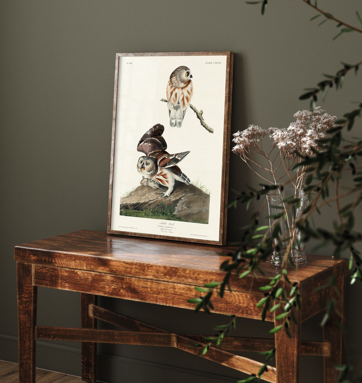Northern Saw-whet Owl Art Print - John James Audubon Birds of America - Vintage Ornithology Poster Illustration
