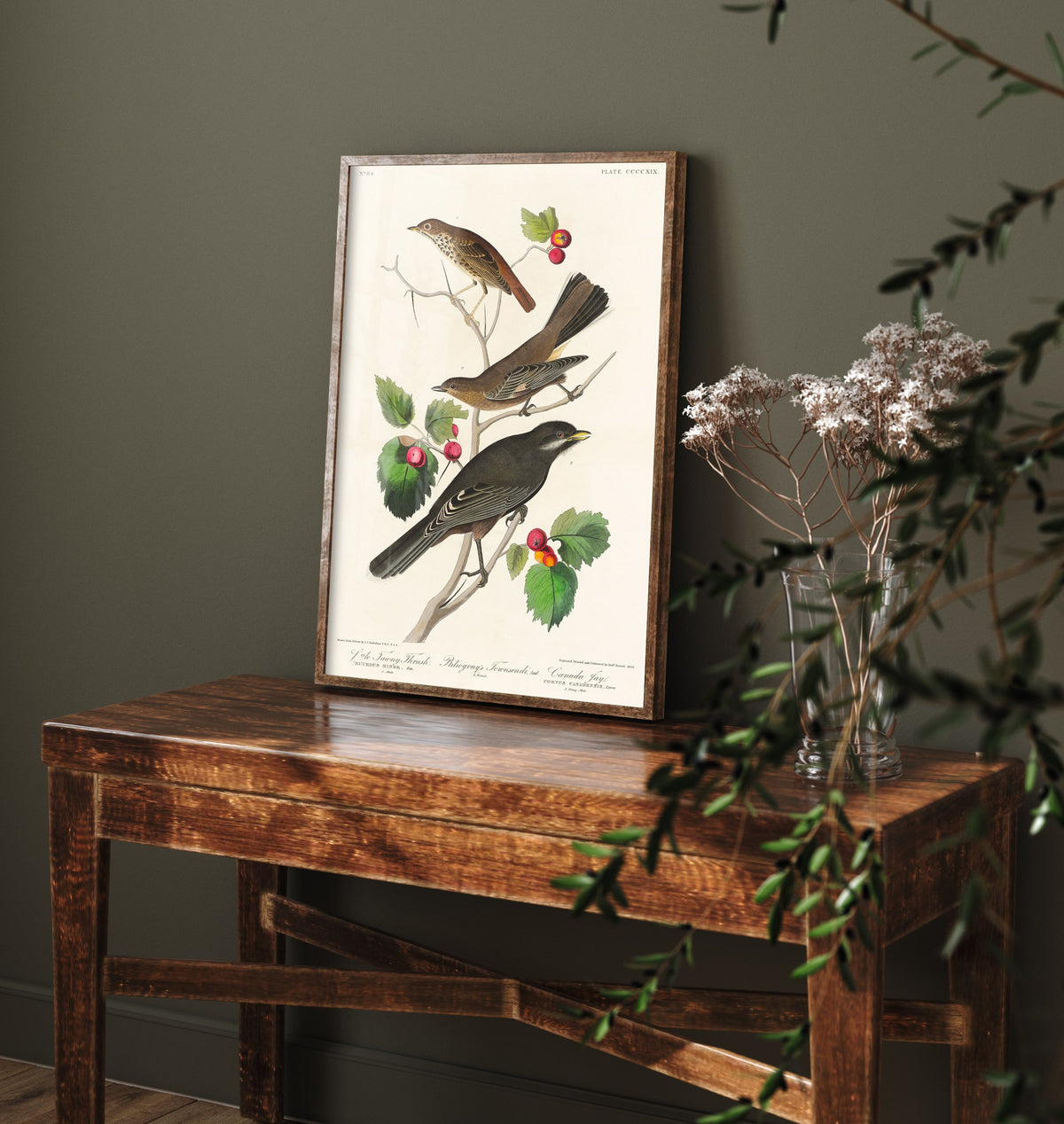 Veery Thrush Art Print - John James Audubon Birds of America - Vintage Ornithology Poster Illustration