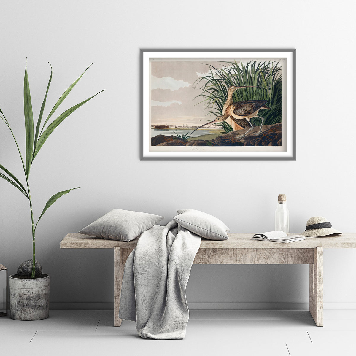 Long-billed Curlew Art Print - John James Audubon Birds of America - Vintage Ornithology Poster Illustration