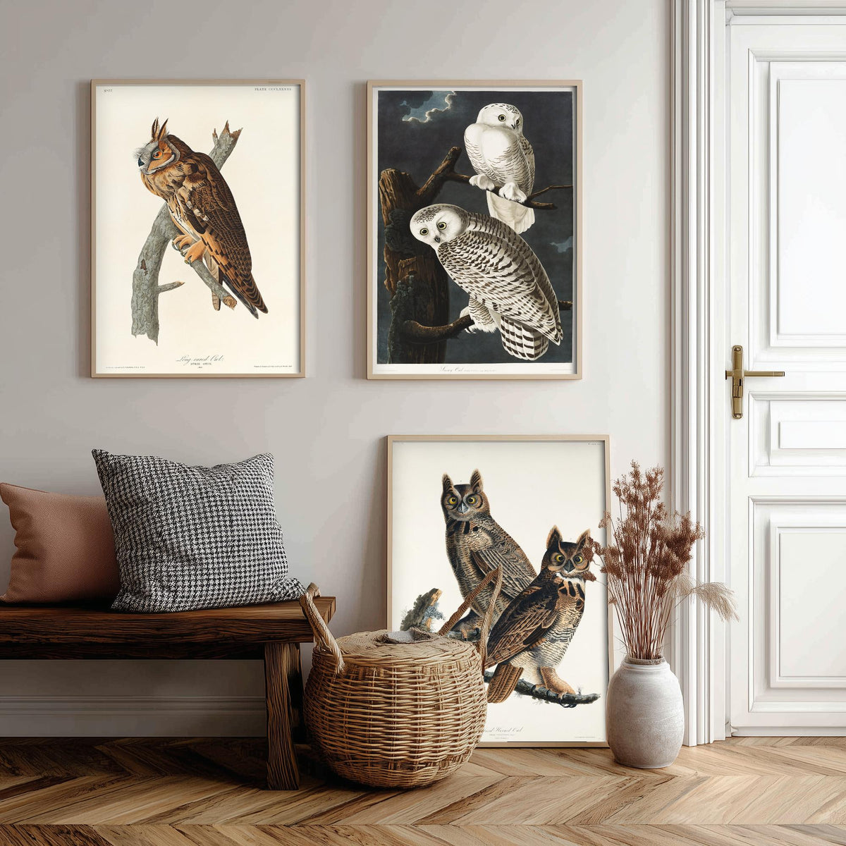 Set of Three John James Audubon Prints - Long-eared Owl Snowy Owl Great Horned Owl - 3 Bird Paintings Poster Wall Art Gift Vintage