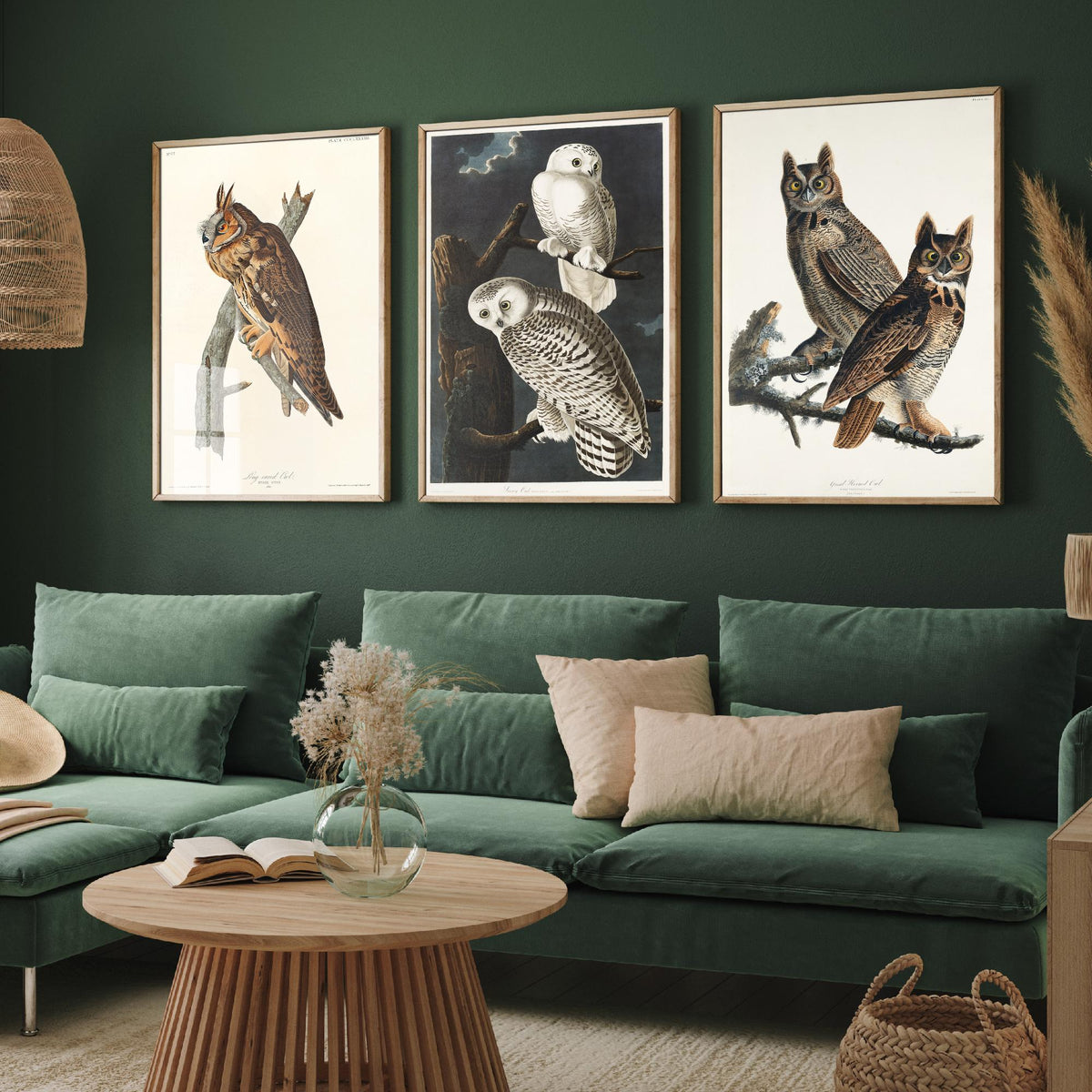 Set of Three John James Audubon Prints - Long-eared Owl Snowy Owl Great Horned Owl - 3 Bird Paintings Poster Wall Art Gift Vintage