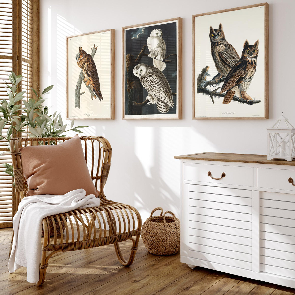 Set of Three John James Audubon Prints - Long-eared Owl Snowy Owl Great Horned Owl - 3 Bird Paintings Poster Wall Art Gift Vintage