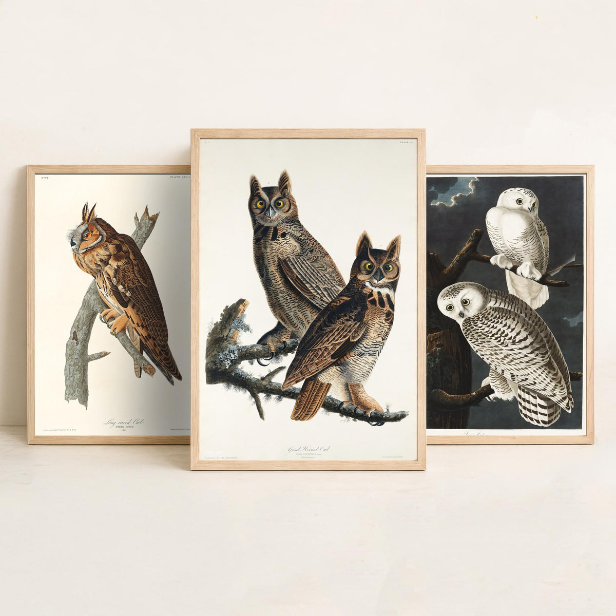 Set of Three John James Audubon Prints - Long-eared Owl Snowy Owl Great Horned Owl - 3 Bird Paintings Poster Wall Art Gift Vintage