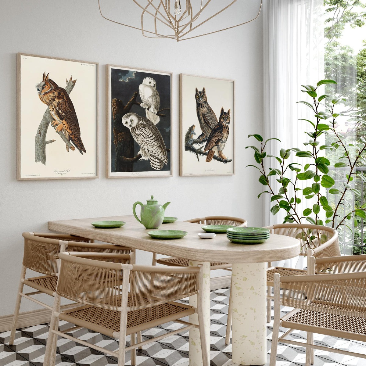Set of Three John James Audubon Prints - Long-eared Owl Snowy Owl Great Horned Owl - 3 Bird Paintings Poster Wall Art Gift Vintage