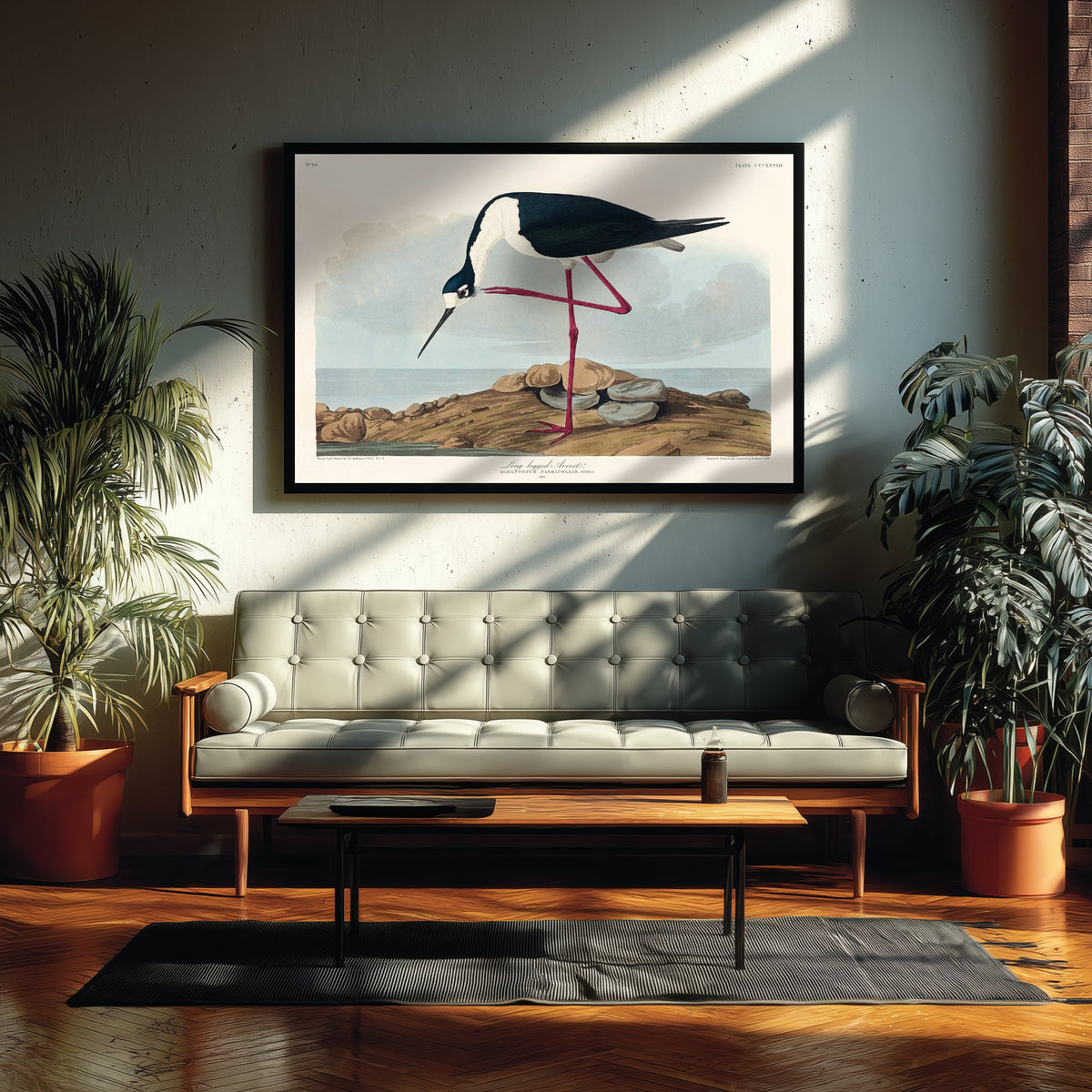 Black-necked Stilt Art Print - John James Audubon Birds of America - Vintage Ornithology Poster Illustration