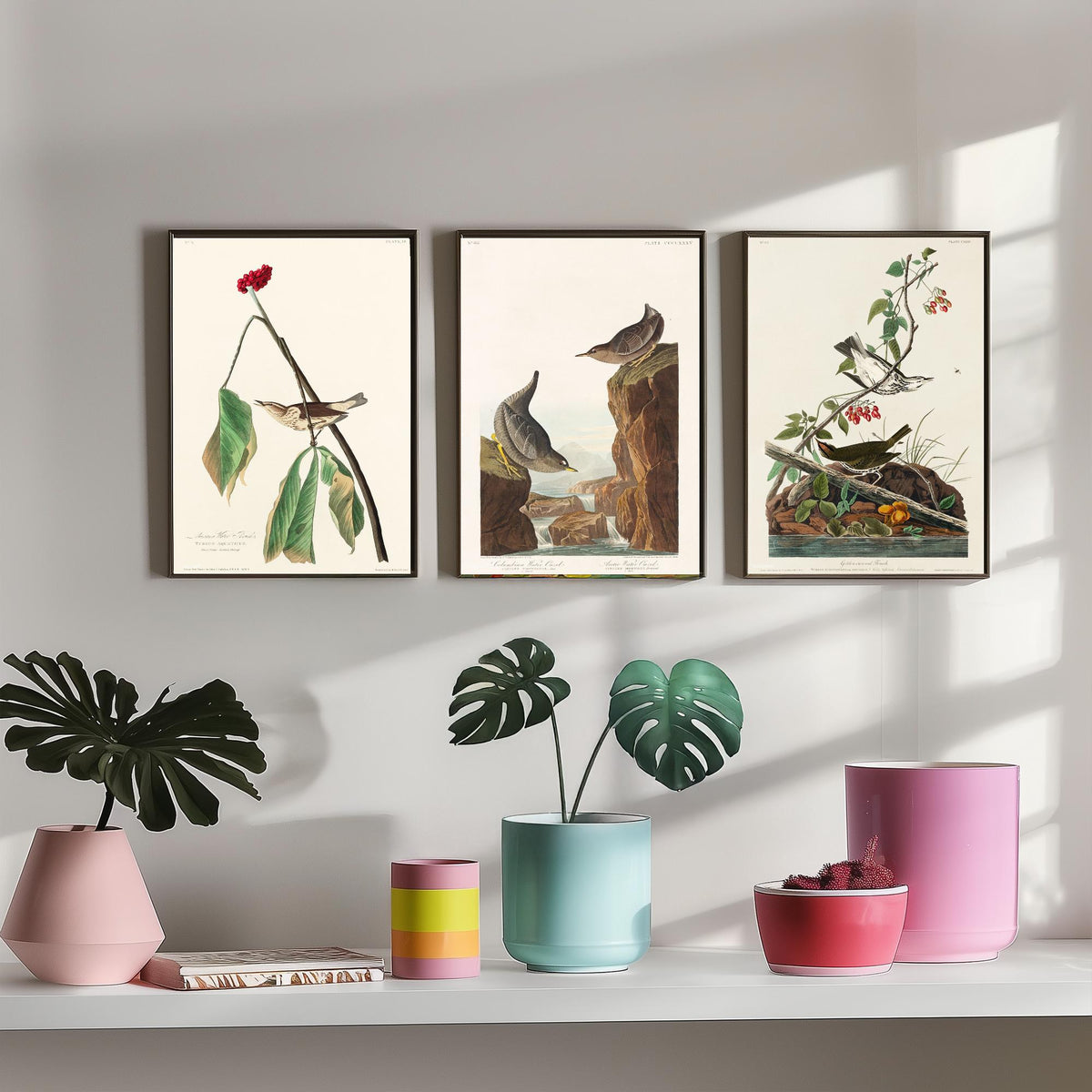 Set of Three John James Audubon Prints - Louisiana Water Thrush Ouzel and Golden-crowned Thrush - 3 Bird Paintings Poster Wall Art