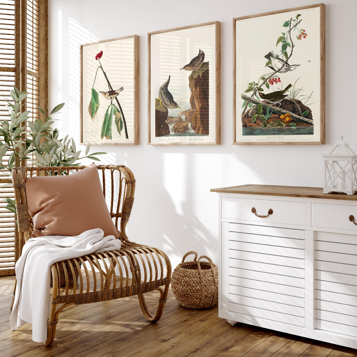 Set of Three John James Audubon Prints - Louisiana Water Thrush Ouzel and Golden-crowned Thrush - 3 Bird Paintings Poster Wall Art