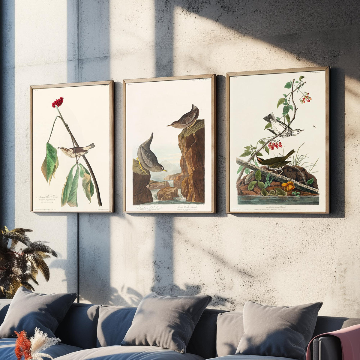 Set of Three John James Audubon Prints - Louisiana Water Thrush Ouzel and Golden-crowned Thrush - 3 Bird Paintings Poster Wall Art