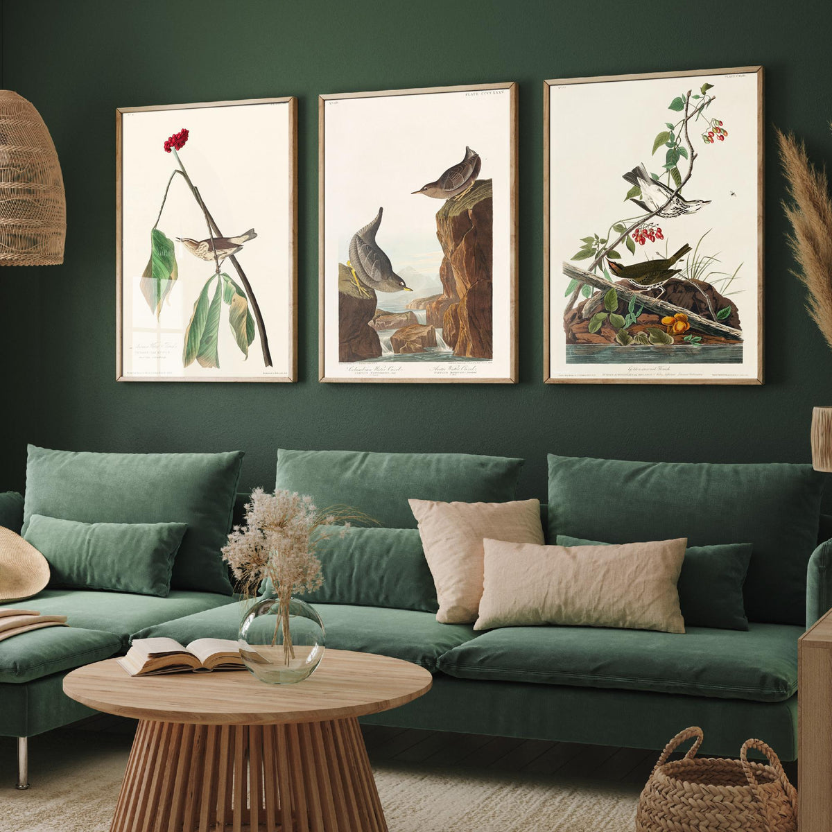 Set of Three John James Audubon Prints - Louisiana Water Thrush Ouzel and Golden-crowned Thrush - 3 Bird Paintings Poster Wall Art
