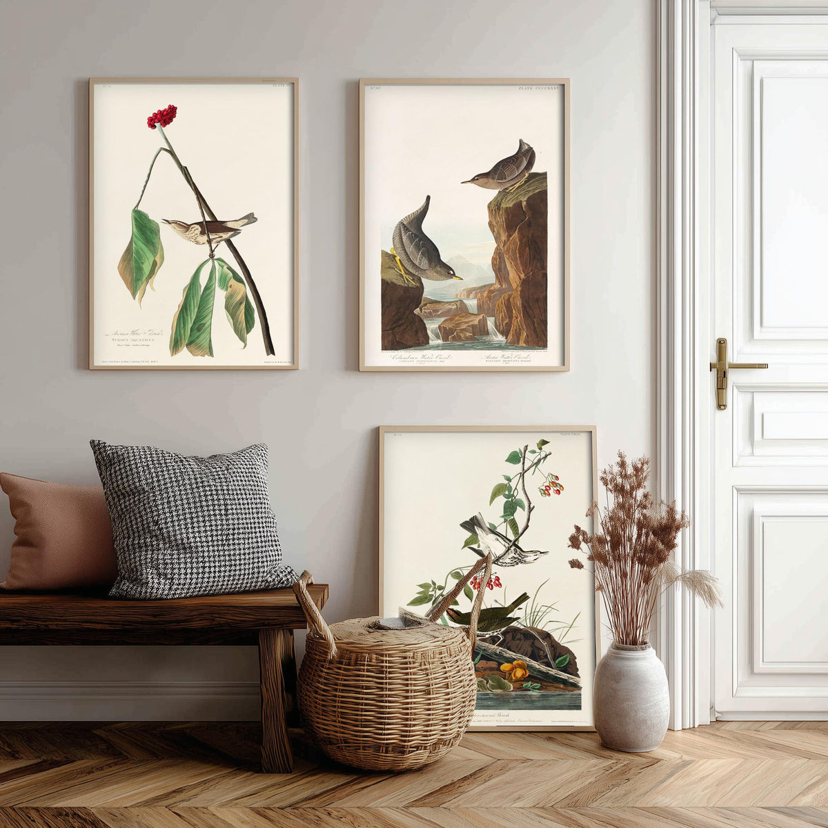 Set of Three John James Audubon Prints - Louisiana Water Thrush Ouzel and Golden-crowned Thrush - 3 Bird Paintings Poster Wall Art